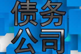 佛山为什么选择专业追讨公司来处理您的债务纠纷？